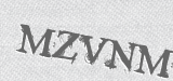 CAPTCHA code