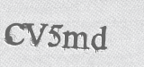 CAPTCHA code