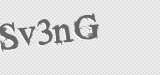 CAPTCHA code