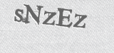 CAPTCHA code