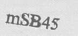 CAPTCHA code