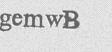 CAPTCHA code