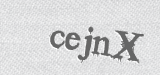 CAPTCHA code