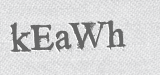 CAPTCHA code