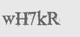 CAPTCHA code