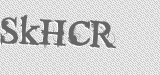 CAPTCHA code