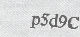 CAPTCHA code