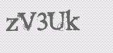 CAPTCHA code