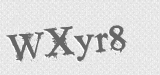 CAPTCHA code