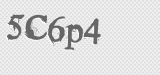 CAPTCHA code