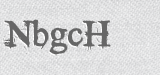 CAPTCHA code