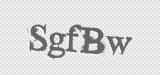 CAPTCHA code