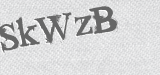 CAPTCHA code