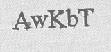 CAPTCHA code
