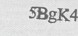 CAPTCHA code