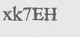 CAPTCHA code