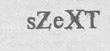 CAPTCHA code
