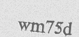 CAPTCHA code