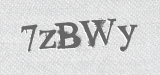 CAPTCHA code