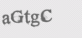 CAPTCHA code