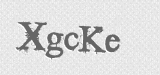 CAPTCHA code