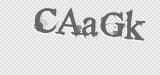 CAPTCHA code