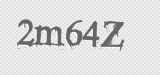 CAPTCHA code