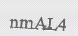 CAPTCHA code
