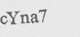 CAPTCHA code
