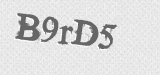 CAPTCHA code