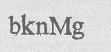 CAPTCHA code