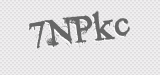 CAPTCHA code