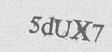 CAPTCHA code