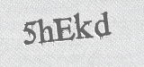 CAPTCHA code