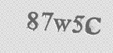 CAPTCHA code