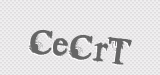 CAPTCHA code