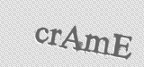 CAPTCHA code
