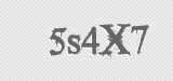 CAPTCHA code