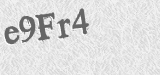 CAPTCHA code