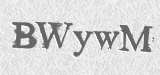 CAPTCHA code