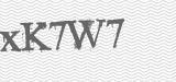 CAPTCHA code