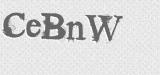 CAPTCHA code