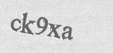 CAPTCHA code