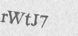 CAPTCHA code