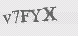 CAPTCHA code