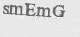 CAPTCHA code