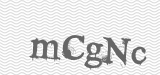 CAPTCHA code