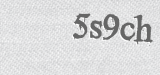 CAPTCHA code