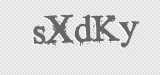 CAPTCHA code
