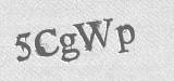 CAPTCHA code